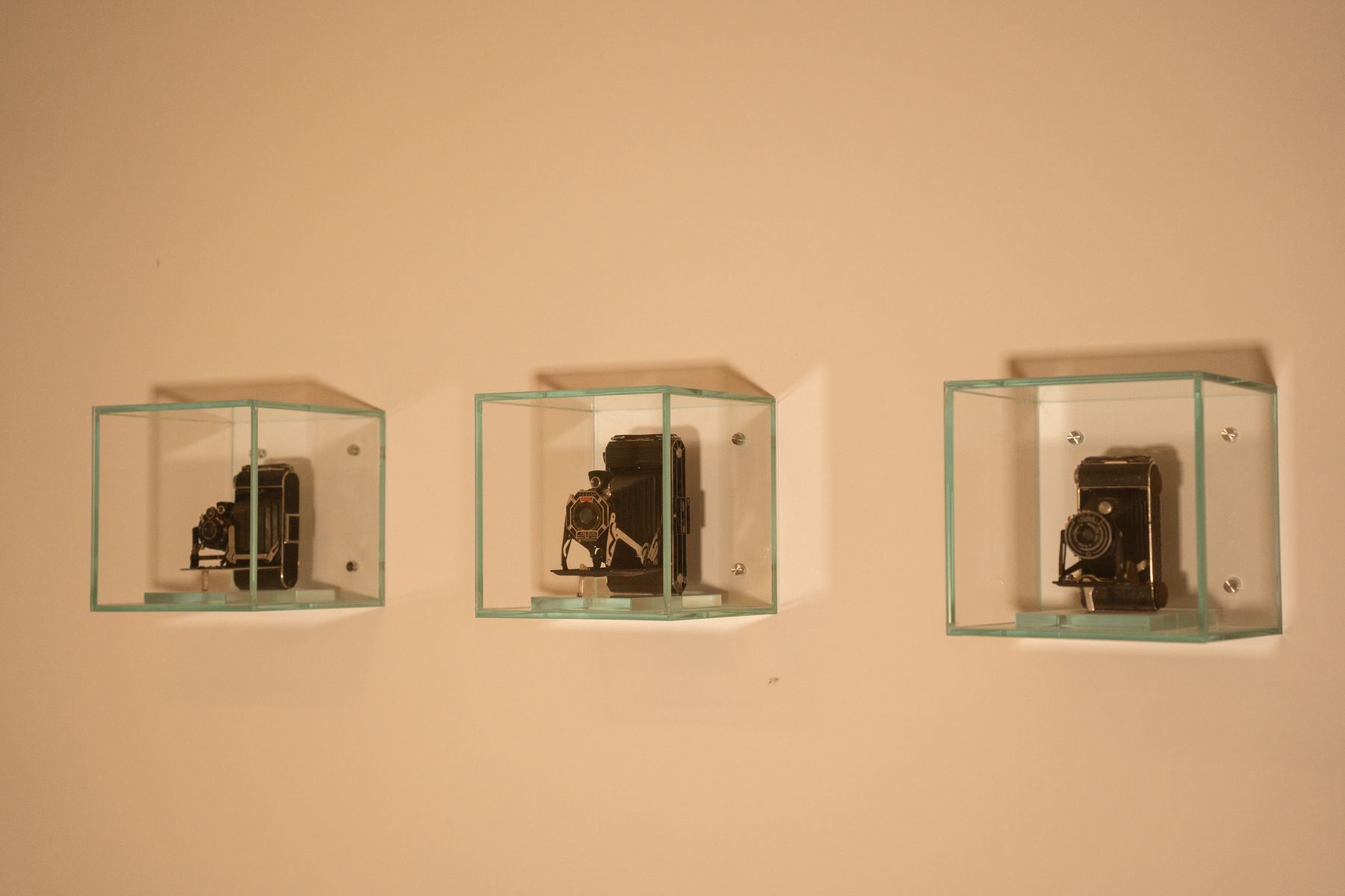 Junior Suite Fratelli Alinari — macchine fotografiche d'epoca in teca